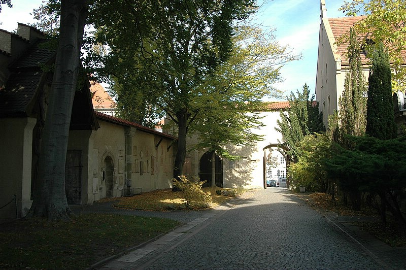 DSC_0006.JPG