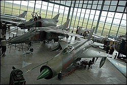 DSC_0199.JPG