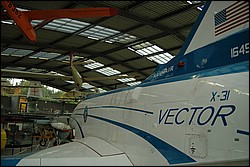 DSC_0234.JPG
