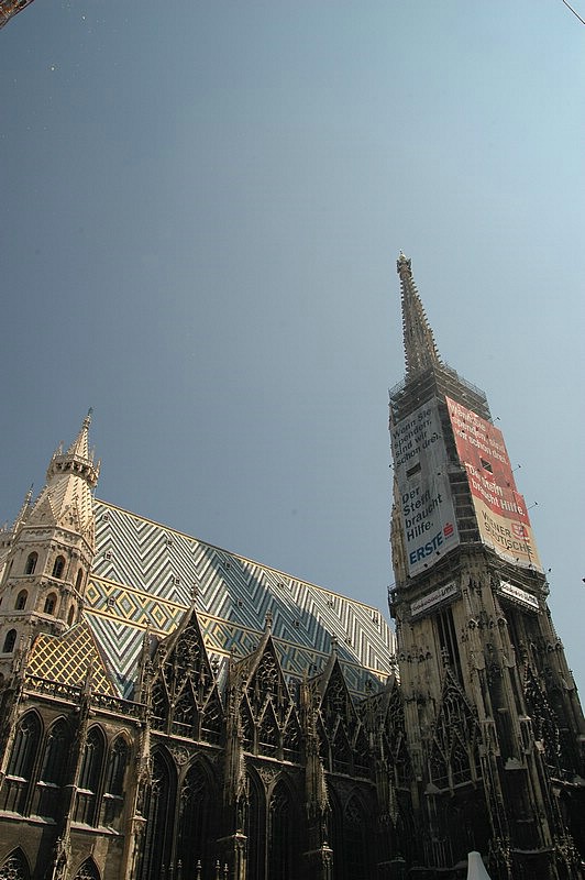 DSC_0060.JPG