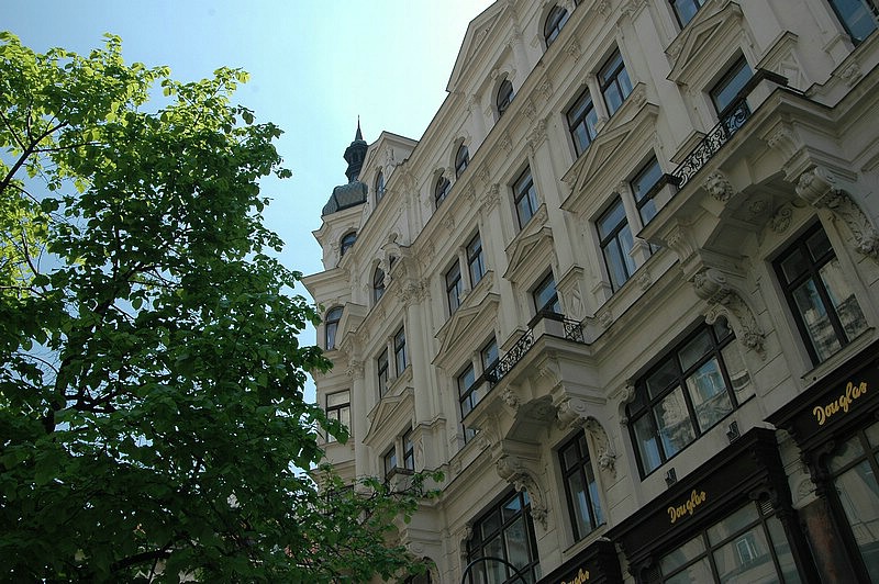 DSC_0065.JPG