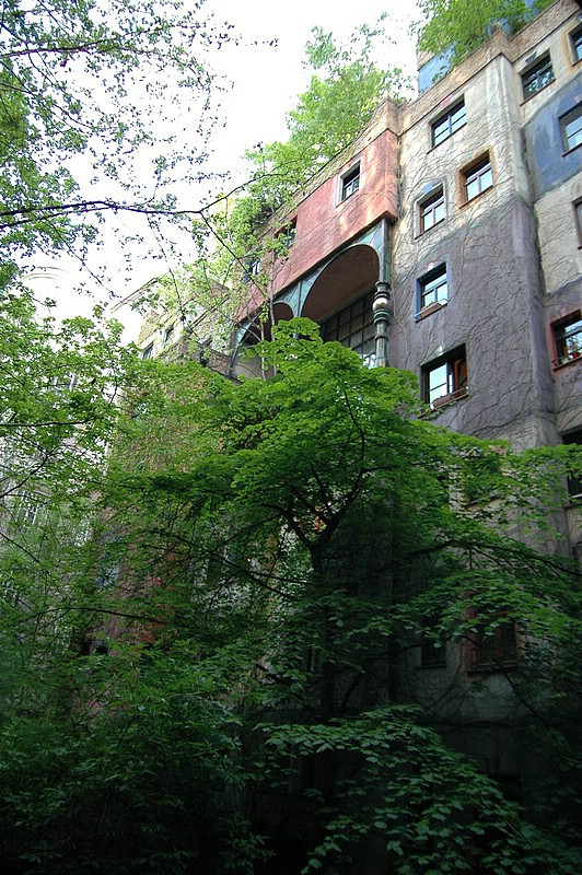 DSC_0146.JPG
