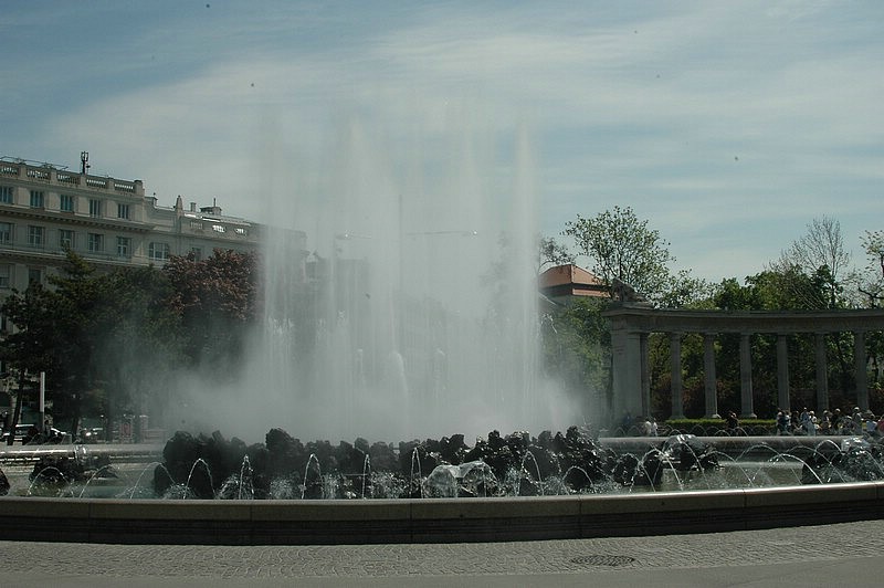 DSC_0247.JPG