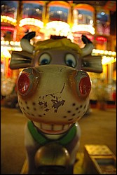 DSC_0179.JPG