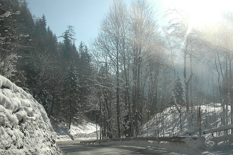 DSC_0132.JPG