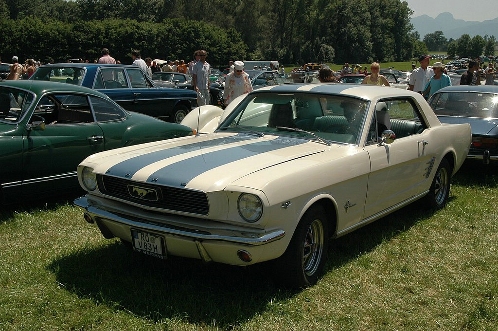 DSC_0005.JPG