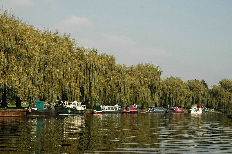 DSC_0102.JPG