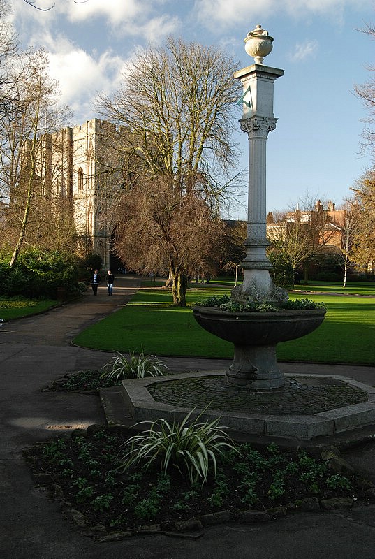DSC_0987.JPG
