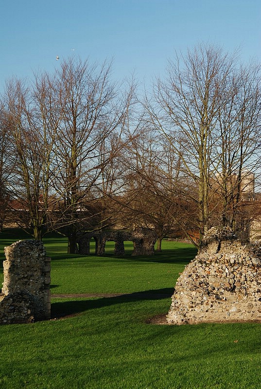 DSC_1048.JPG