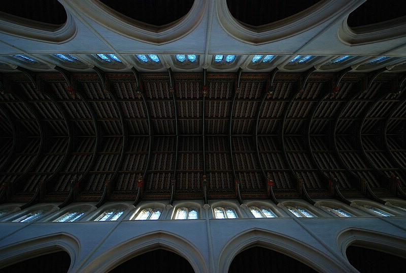 DSC_1172.JPG