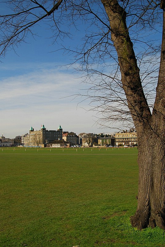 DSC_2199.JPG