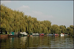 DSC_0102.JPG