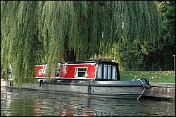 DSC_0103.JPG