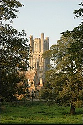 DSC_0110.JPG
