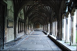 DSC_0612.JPG