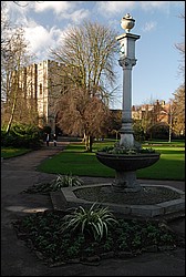 DSC_0987.JPG