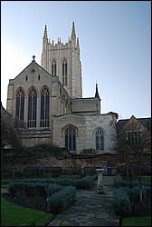 DSC_0993.JPG