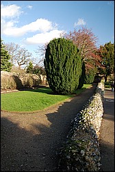 DSC_0995.JPG