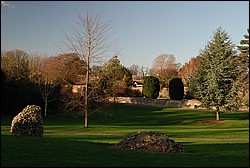 DSC_1005.JPG