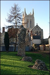 DSC_1009.JPG