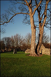 DSC_1046.JPG