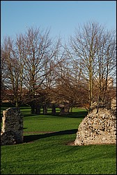 DSC_1048.JPG