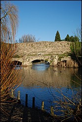 DSC_1080.JPG