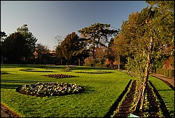 DSC_1086.JPG