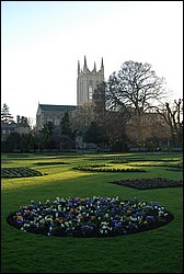 DSC_1100.JPG