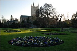 DSC_1109.JPG