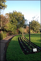 DSC_1116.JPG