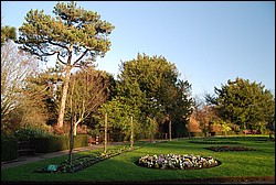 DSC_1123.JPG