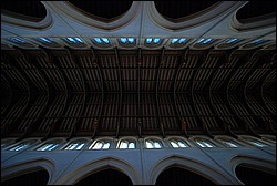 DSC_1172.JPG