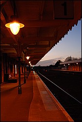 DSC_1242.JPG