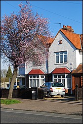 DSC_2164.JPG