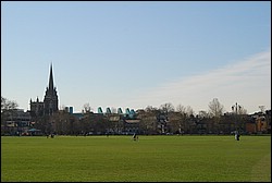 DSC_2198.JPG