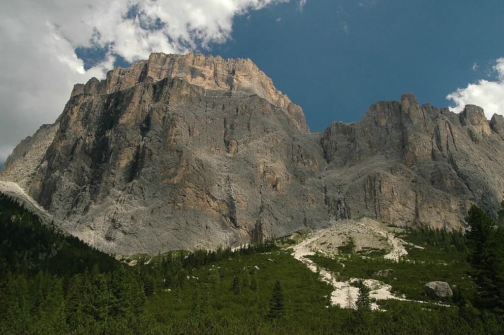 DSC_0453.JPG
