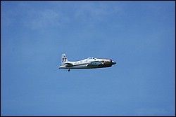 2SC_0010.JPG