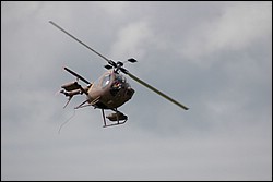 2SC_0198.JPG