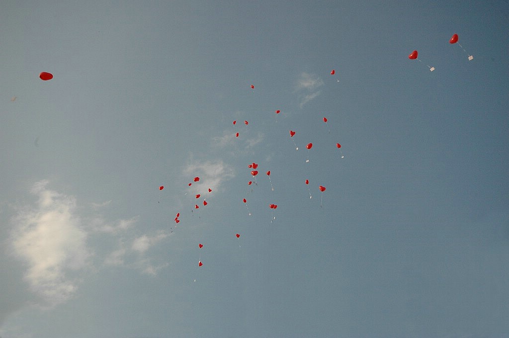 6SC_0136E.jpg