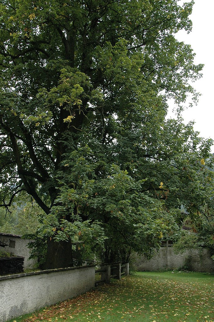 1SC_0186.JPG
