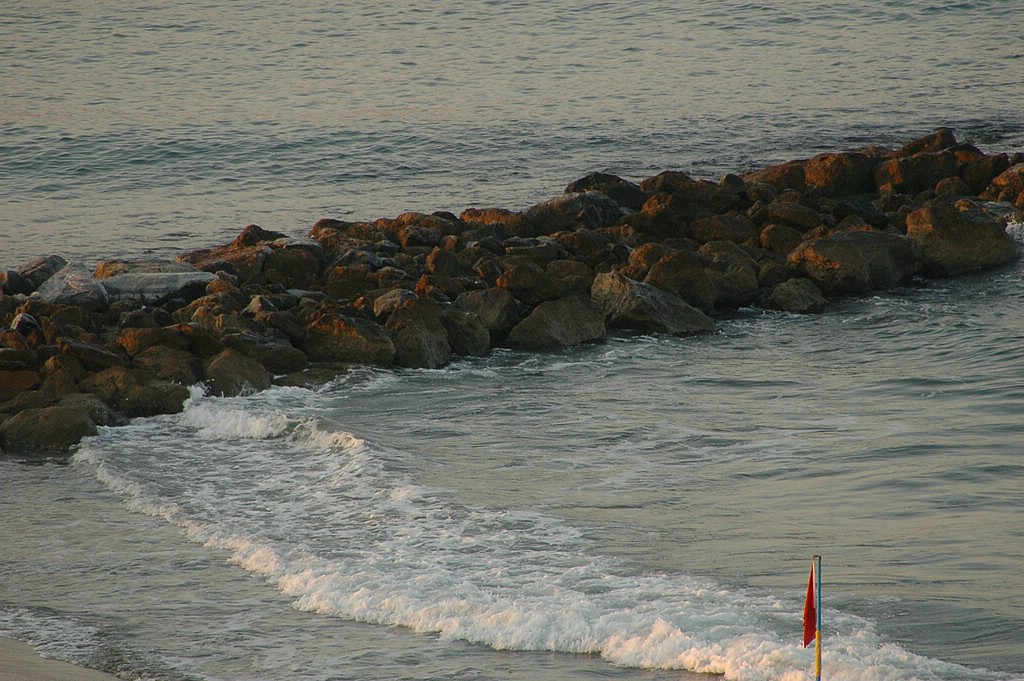 1SC_0343.JPG