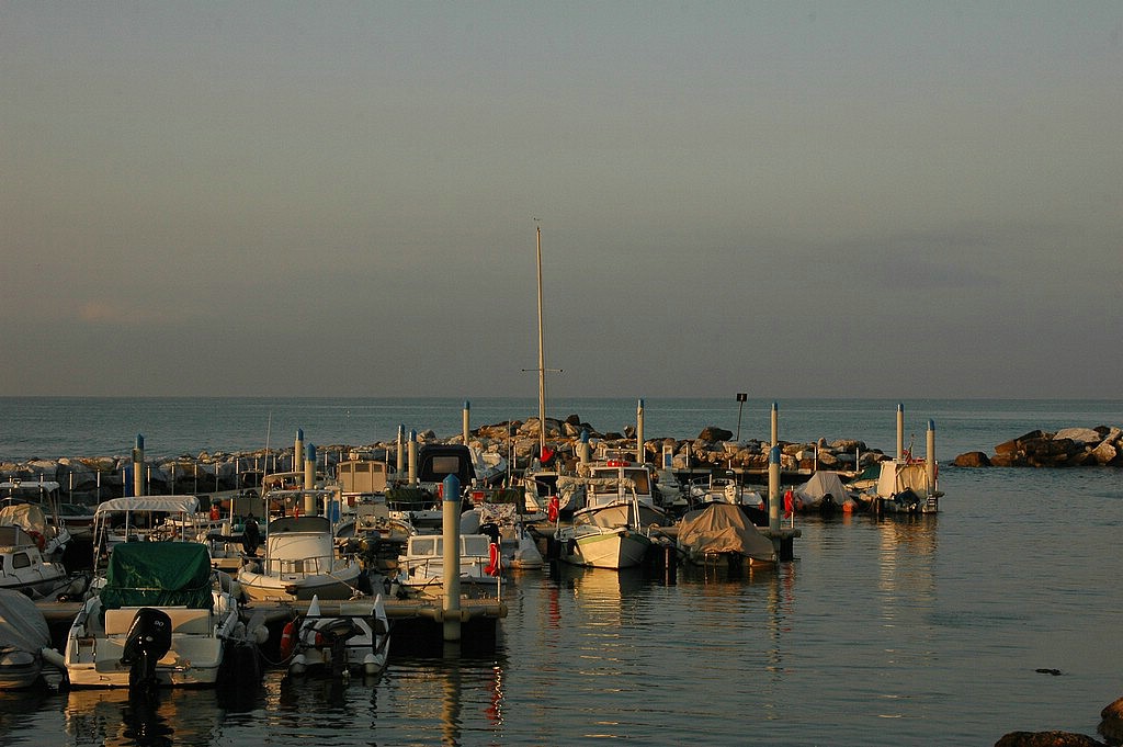 1SC_0352E.jpg