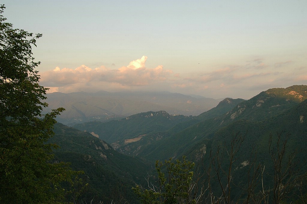 2SC_0036.JPG