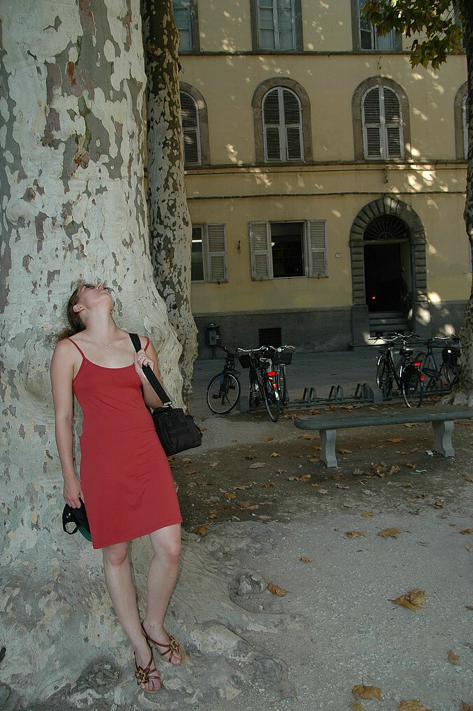 2SC_0049.JPG