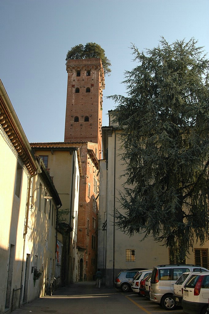 2SC_0079.JPG