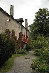 1SC_0181.JPG