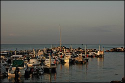 1SC_0352E.jpg