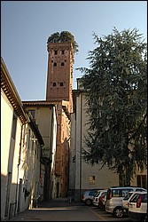 2SC_0079.JPG