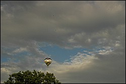 2SC_0202.JPG
